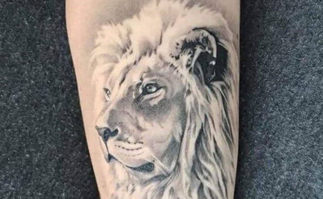 10+ White Lion Tattoo Designs