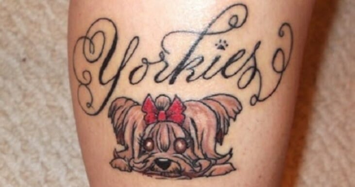 15 Of The Best Yorkshire Terrier Tattoo Ideas Ever