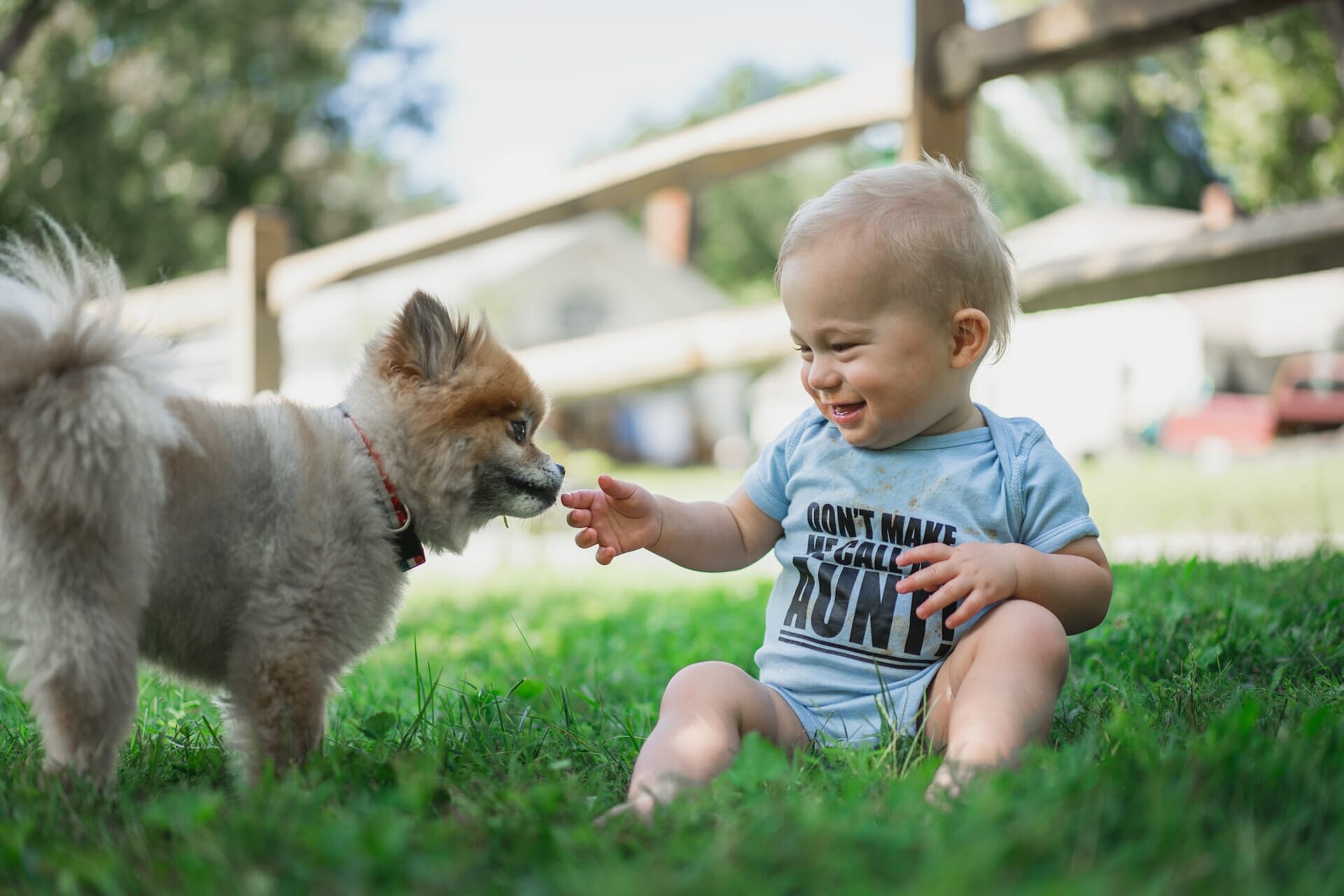 What Are The Best First Pets for Toddlers: 10 Kid-Friendly Pets