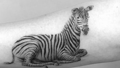Top 50 Best Zebra Tattoo Designs