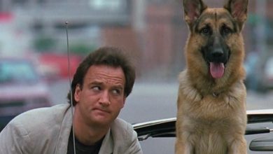 Top 30 Popular German Shepherd Dog Names from Movies and TV Shows