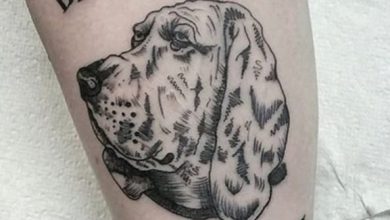 14 Interesting Bloodhound Tattoo Ideas For Owners and True Breed Lovers