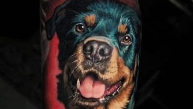 14 Incredibly Realistic Rottweiler Tattoos For Breed Lovers