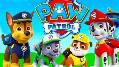 30+ PAW Patrol Dog Names: Puppy Names Inspired by the Cartoon