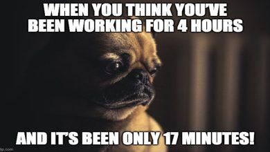 Best 20+ Dogs Working From Home Memes List