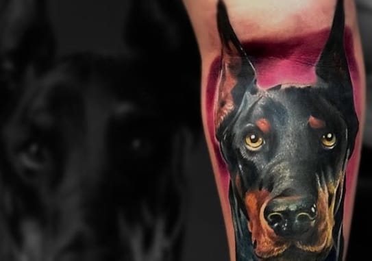 The 14 Best Unusual Tattoo Designs For Doberman Pinscher Lovers