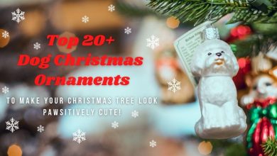 Top 20+ Dog Christmas Ornaments To Buy For Your Christmas Tree