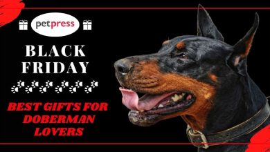 Top 10+ Best Gifts For Doberman Lovers on Black Friday