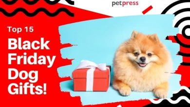 15 Awesome Dog Gifts Every Dog Lover Will Love This Black Friday