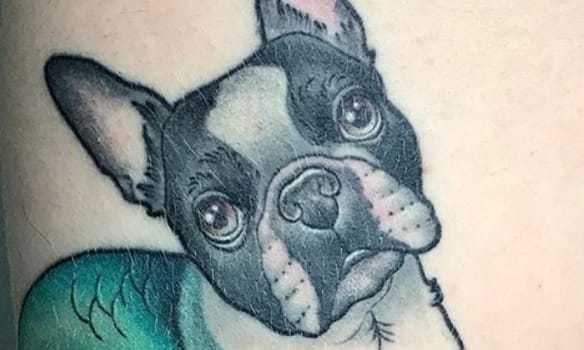 The 14 Funniest Boston Terrier Tattoos Ever!