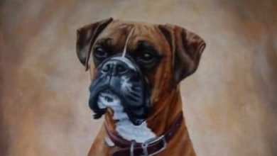 The 15 Coolest Boxer Dog Paintings