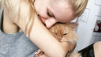 11 Reasons Why Cats Are Good for Human`s Health