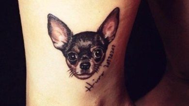 14 Ways To Put Chihuahuas On Your Body