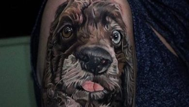 14 Amazing Dog Tattoos For Cocker Spaniel Lovers