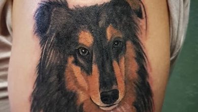The 14 Most Realistic Dog Tattoos For Collie Owners