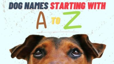 Complete List of Dog Names Starting With A to Z | PetPress