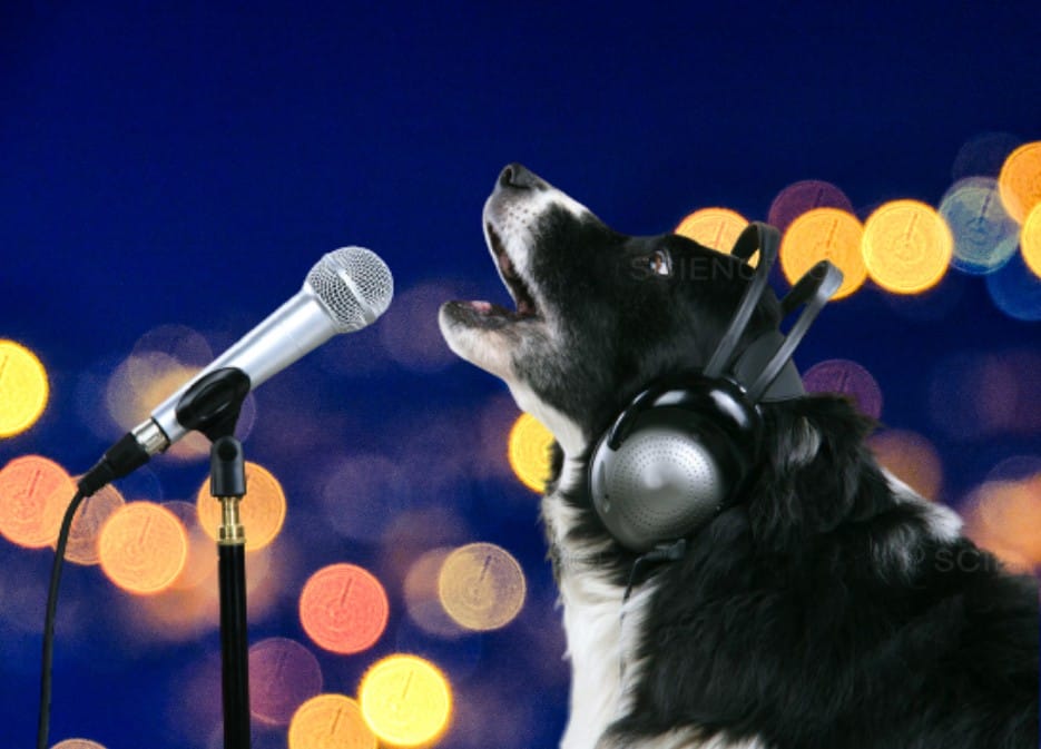 The First Christmas Song For Dogs By Dogs Released