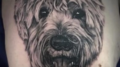 14 Goldendoodle Tattoo Ideas For the Breed Lovers