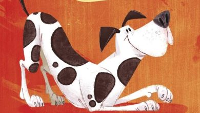 15 Books About The Great Dane. Part 2