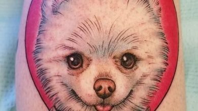The 14 Funniest Pomeranian Tattoos of 2019