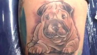 The 14 Cutest Dog Tattoo Ideas For Shar Pei Lovers