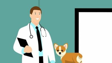 Are Routine Vet Visits For Dogs Included in Pet Insurance?
