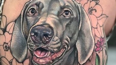 14 Awesome Weimaraner Tattoo Ideas For True Breed Lovers