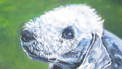 The 15 Most Creative Bedlington Terrier Paintings