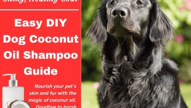 Shiny, Healthy Coat: Easy DIY Dog Coconut Oil Shampoo Guide