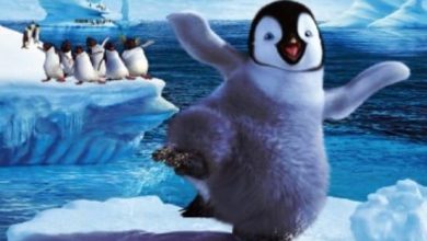 15 Films About Penguins