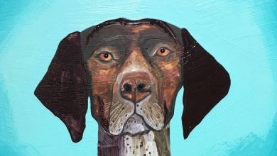 The 15 Nicest German Shorthaired Pointer Paintings