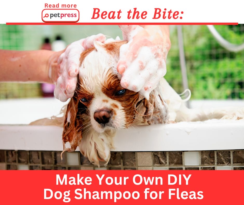 Beat the Bite: Make Your Own DIY Dog Shampoo for Fleas