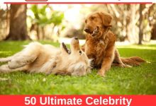 Star-Studded Insights: 50 Ultimate Celebrity Quotes on Dog Health