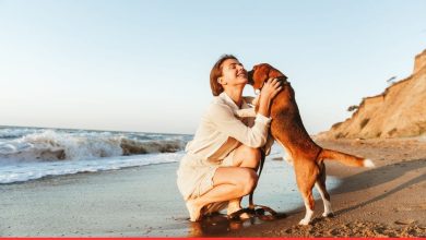 Woof-Worthy: 75 Must-Read Dog Love Quotes That Stir Emotions