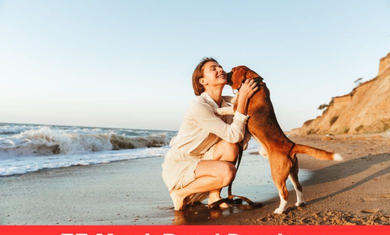 Woof-Worthy: 75 Must-Read Dog Love Quotes That Stir Emotions