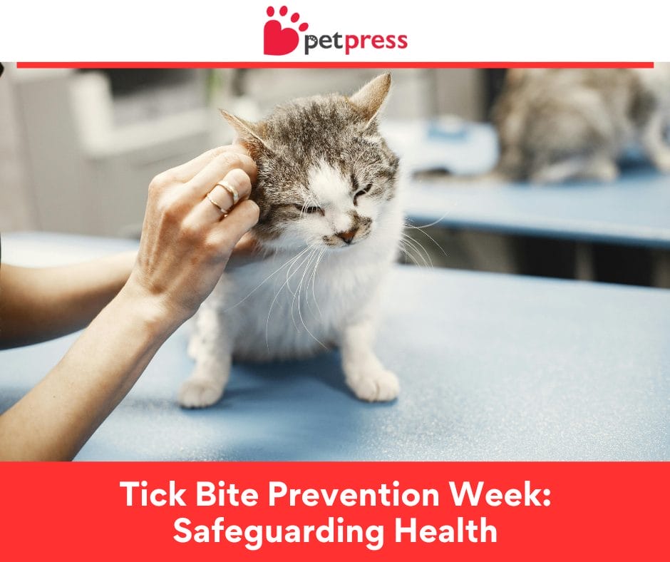 Tick Bite Prevention Week: Safeguarding Health